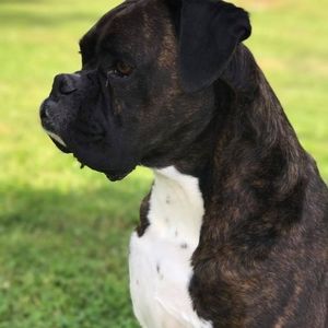 Meet your Posher, Stacey